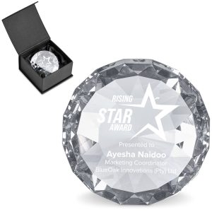 Altitude Mini  Award